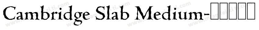 Cambridge Slab Medium字体转换
